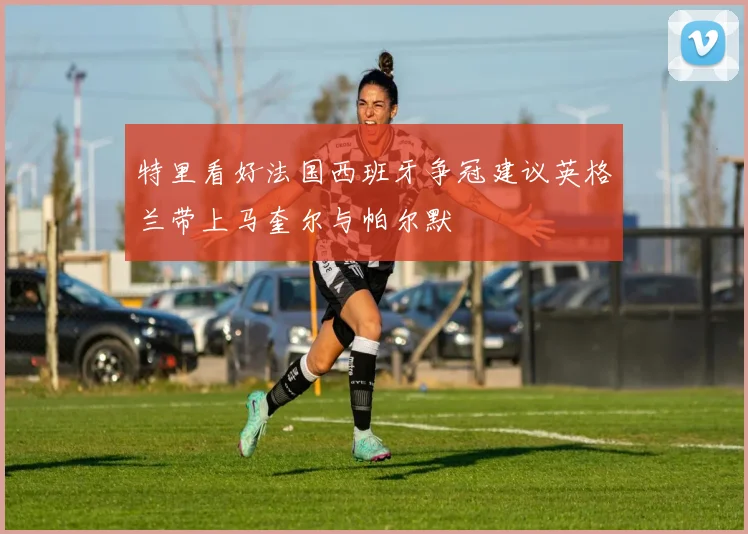 特里看好法国西班牙争冠建议英格兰带上马奎尔与帕尔默